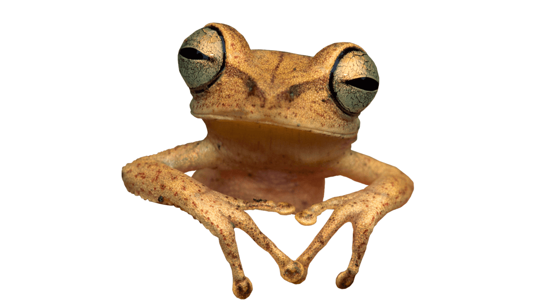 Vercel logomark